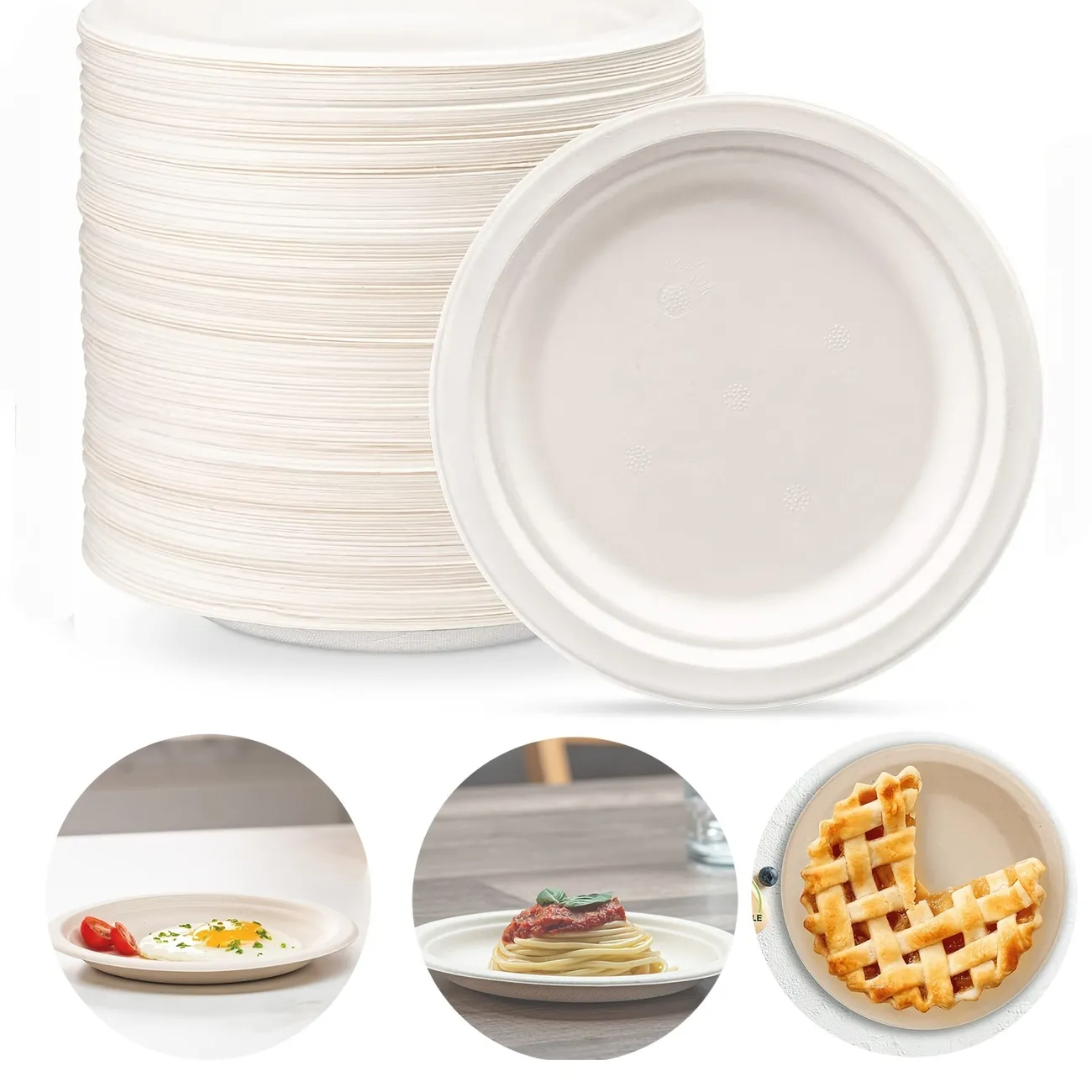 Disposable Dinners Plate