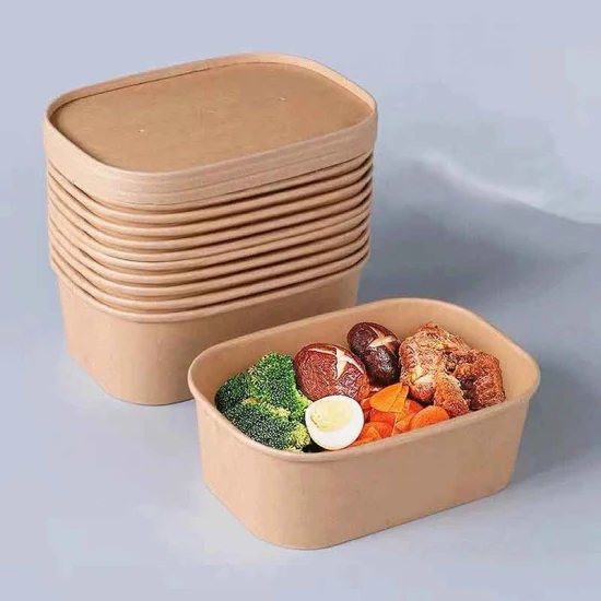 Disposable Lunch Box